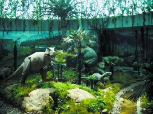 西峡恐龙蛋化石数种世界居首 有的长50厘米(图)