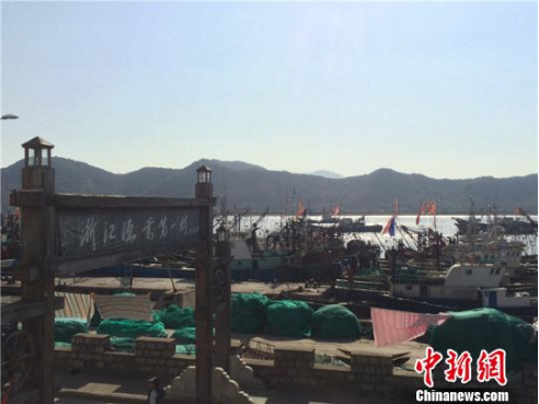 “东海渔仓”陷入无鱼窘境 宁波“船二代”岸上谋转型