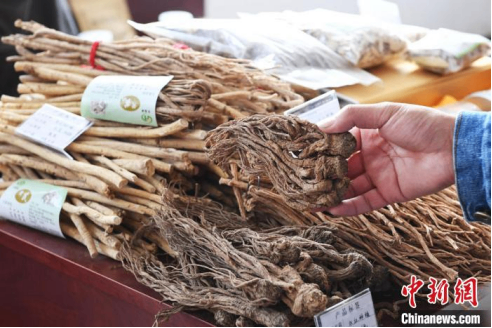 甘肃着力推动“中医药+”新业态 促高质量传承创新发展