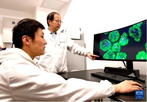 中国科学家创出蛋白靶向降解技术为&ldquo;隐身&rdquo;肿瘤细胞打上&ldquo;身份标签&rdquo;